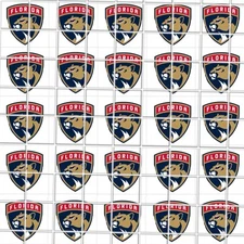 Florida Panthers Waterslide Finger Nail Decals Instructions set of 50 JH