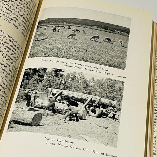 White Settlers & Native Peoples (Hardcover 1949) A. Grenfell Price Ist Edition - Picture 20 of 24