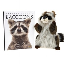 Raccoon Hand Puppet  Book Set Animal Educational Reading Imaginative Play Hansa
