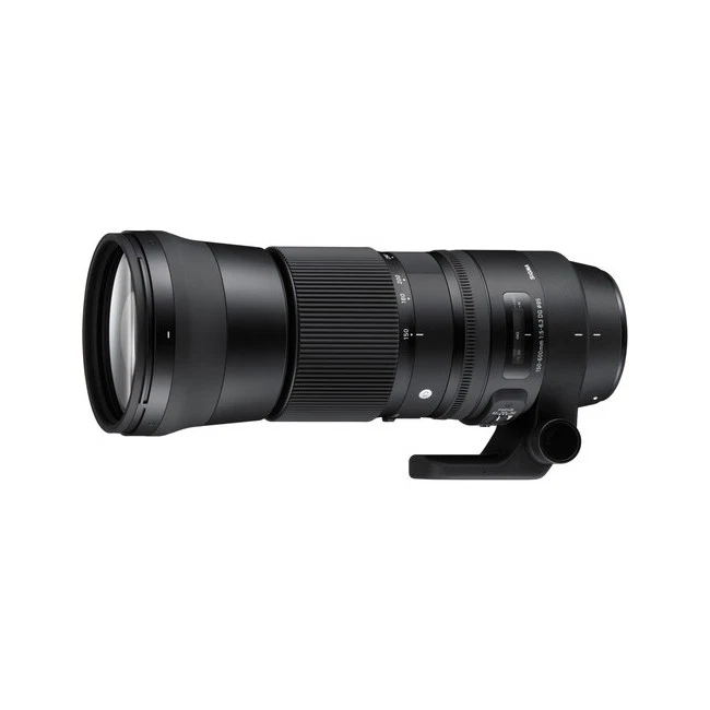 Sigma Nikon F Camera Lenses 150-600mm Focal for sale | eBay