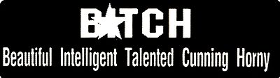 B!TCH BEAUTIFUL, INTELLIGENT, TALENTED, CUNNING, HORNY HELMET STICKER