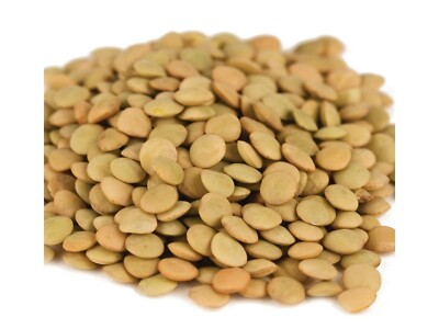 Lentils Bean Beans 10 Pounds Free Shipping
