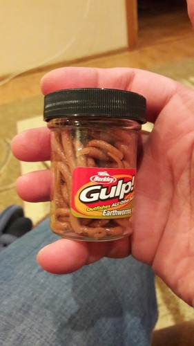 Berkley Gew-br Gulp Earthworm Brwn 4in 57 1082278 for sale online