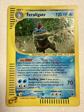 expedition pokemon cards Vintage Pokmon Blister Pokmon Hit Points50 HP Form Holo Charizard 6/165 Pokemon Card