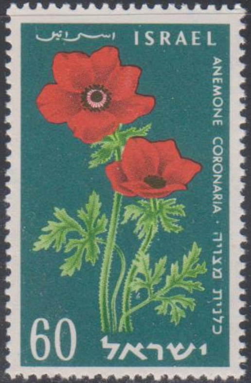 Israel #Mi179 MNH 1959 Flowers Crown Anemone [157] | eBay