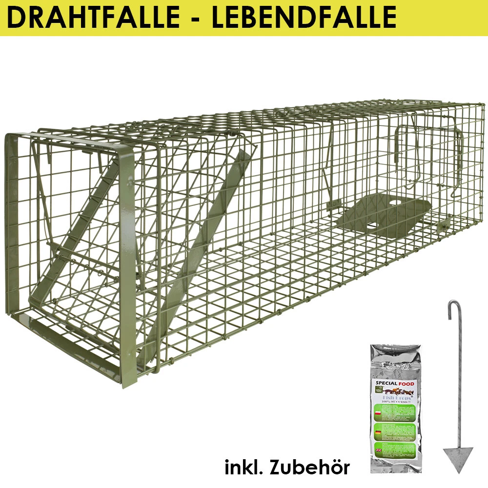 Bild 1 von 6