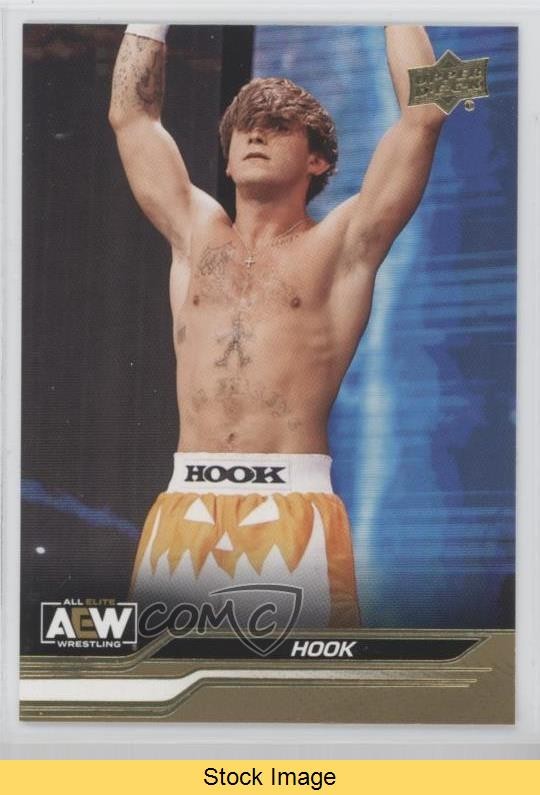 2024 Upper Deck AEW All Elite Wrestling Gold Hook #68 READ 12l5