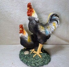 chicken - hen and rooster