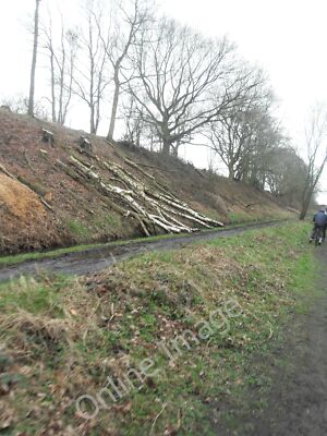 Foto 6x4 Baumfällung Middlewood Way Bollington um 2010