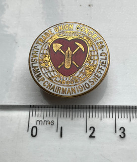 The Trades Union Congress TUC Sheffield 1910 Enamel Lapel Badge