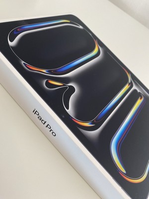 iPad Pro 11-inch (M4) Wi-Fi + Cellular 256GB