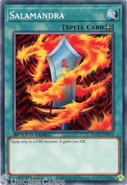 SGX1-ENH12 Salamandra Common 1st Edition Mint YuGiOh Card