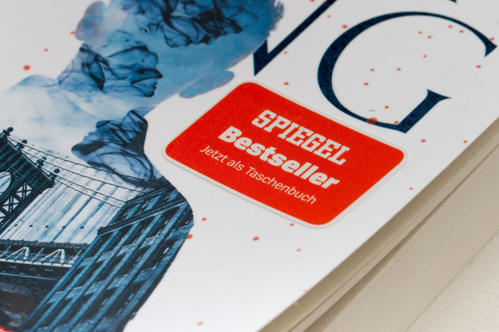 Thumbnail - Später Stephen King