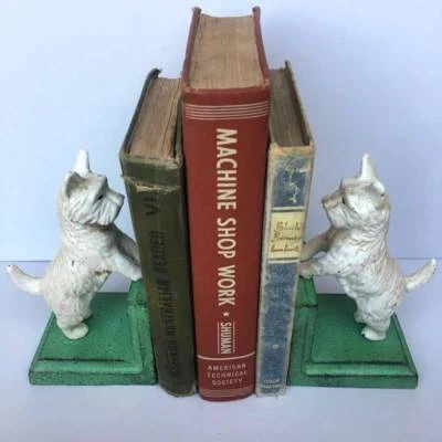 gumtree west highland terrier