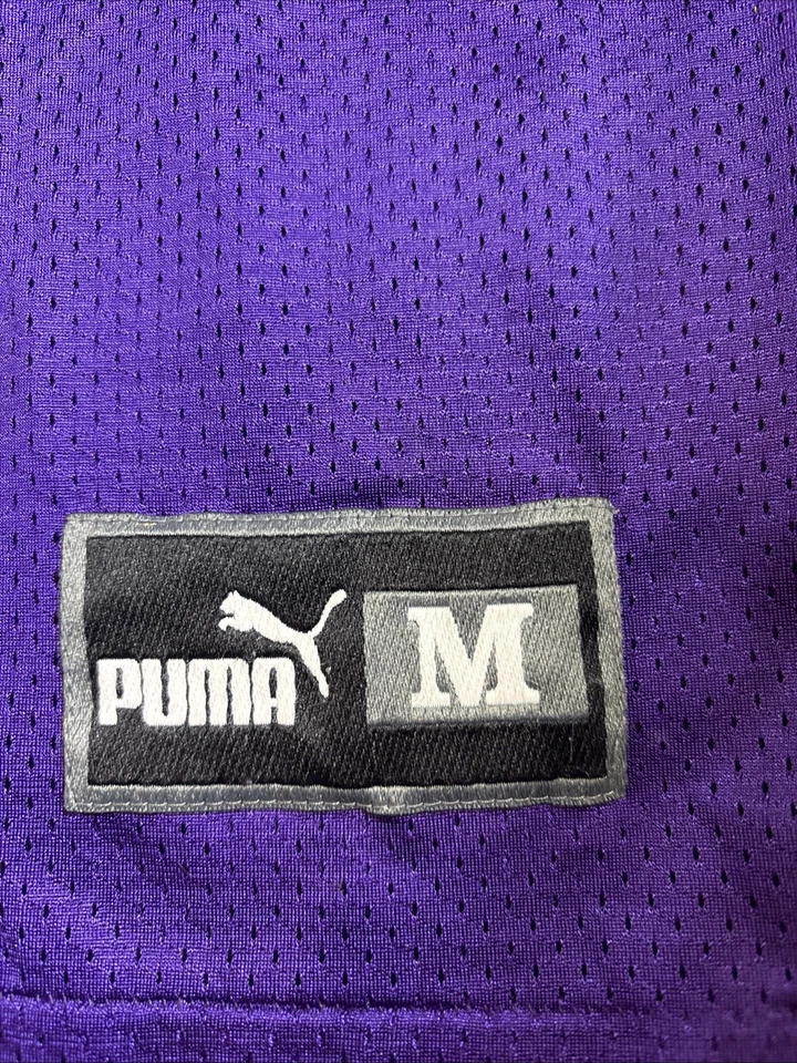 复古彪马足球球衣明尼苏达维京人兰迪·莫斯 #84 中号 NFL 紫色 — 第 2/4 张图片