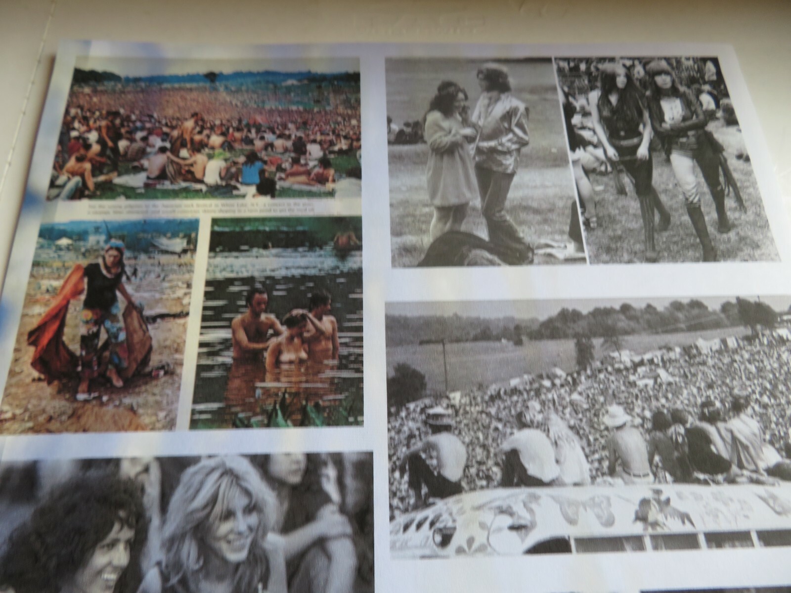 Picture 8 of 12