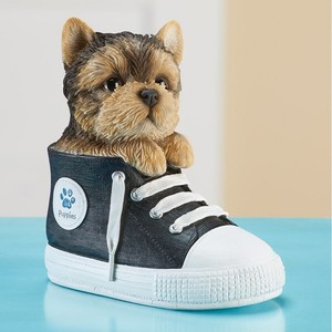 dog sneakers converse