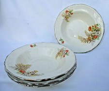 Vintage passendes Set x 4 Alfred Meakin frühe MCM Herbst Blumen Ferndale Schalen