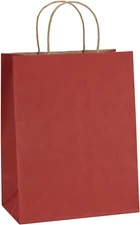 Bagdream Gift Bags 8X4.25X10.5 Inches 25Pcs Paper Shopping Bags, Kraft Bags, Ret
