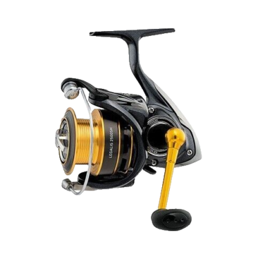 daiwa advantage 4000 h reel Fuego LT Spinning - Evolution Adapted for the Open Seas Fishing reel Daiwa GT G