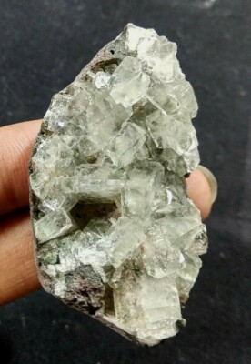 clear glassy apophyllite crystal natural mineral specimen 365
