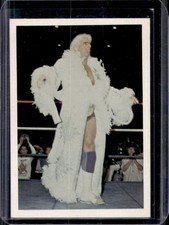 1988 Wonderama NWA Ric Flair #1