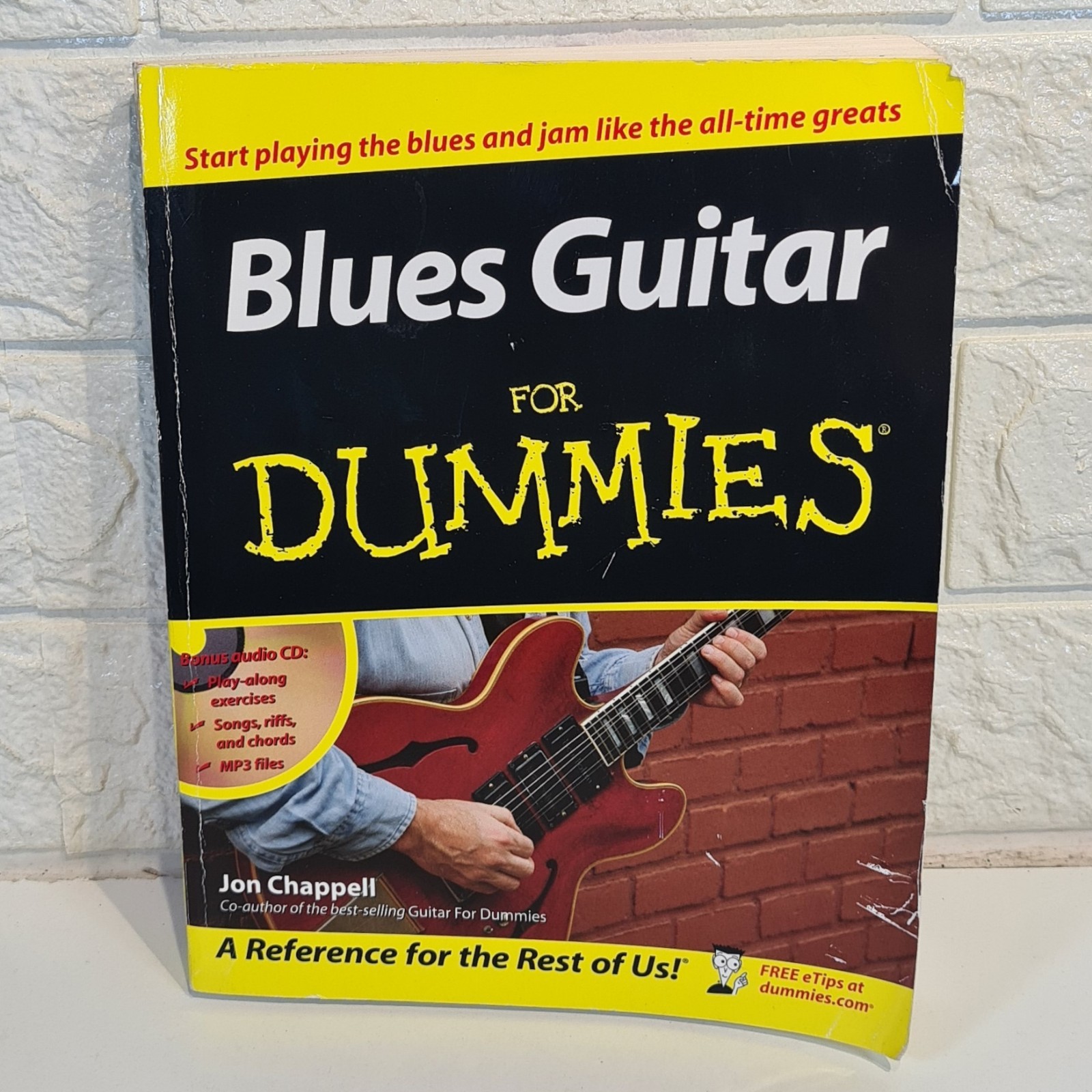 Blues Guitar For Dummies Paperback Book Jon Chappell 2007 + CD-ROM Wiley