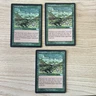 Set of 3 Carpet of Flowers   (Urza's Saga,  Uncommon,  English,  1998)  MTG  NM