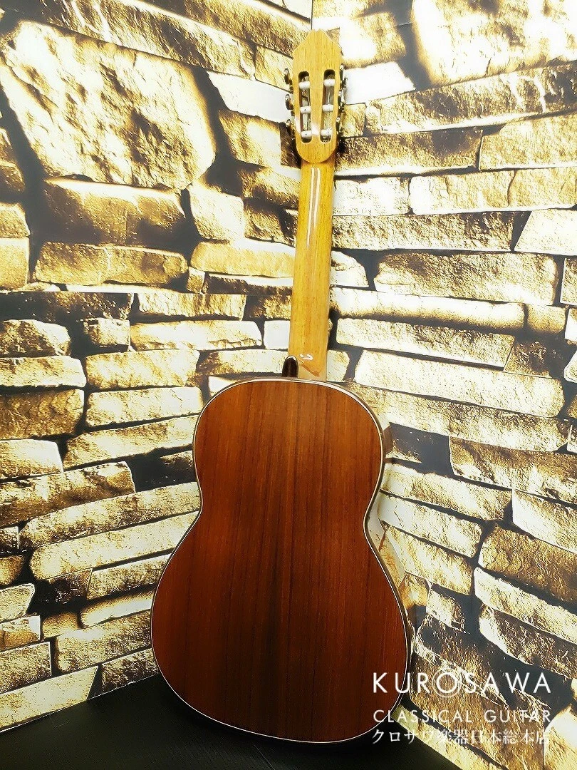 Greg smallman guitar ebay deals