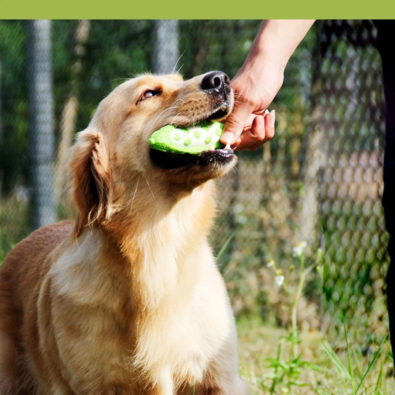 New Dog Quality PU and Nylon Puppy Toy Chewing Bite Resistant Teeth Grinding - Image 3 of 4