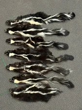 Skunk Fur, Soft Tanned Pelts, Slightly Damaged, Crafts, Leather, Sewing