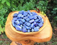 Lapis Tumbled Stones 8 oz Lot Premium Quality 'A' Grade Lapis Lazuli 1/2 lb