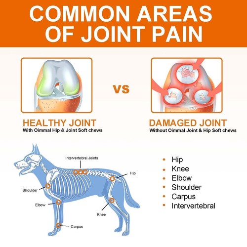 Dog Pain Relief Chews Hip & Joint Care for Dogs Anti Inflammatory for Dogs 150pk - Picture 11 of 12
