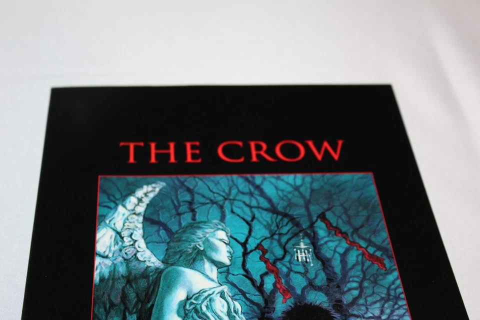 Fregadero de cocina The Crow J. O'Barr primera impresión novela gráfica TPB 1993 CASI NUEVO - BONITO RARO Foto 2 de 4