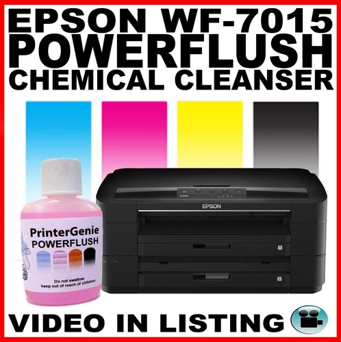 Epson WorkForce WF-7015 Head Cleaner 
