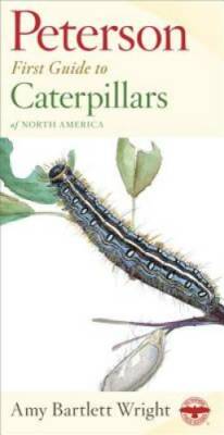 Peterson First Guide to Caterpillars of North America - Paperback - GOOD