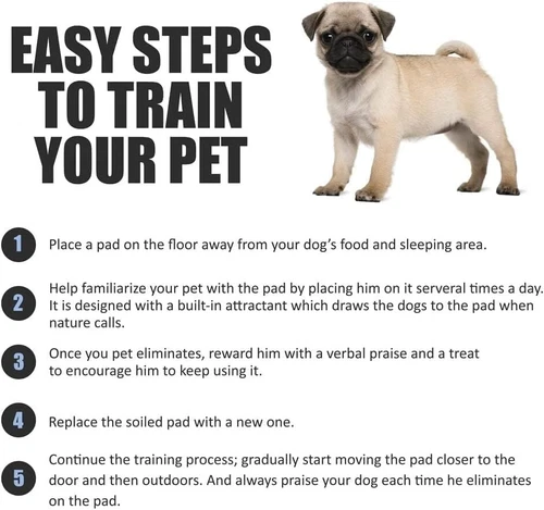 100 Large Puppy Training Trainer Train Pads Toilet Pee Wee Poo Dog Pet Cat Mats - Picture 4 of 6