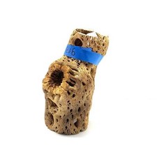 7  Teddy Bear Cholla Wood Choya - Hermit Crab, Reptile, Terrarium, Aquarium, Air
