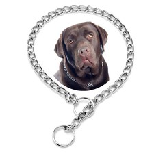Chain Collar for Dogs,Metal Slip Link Training Heavy Duty Dog Collar Martinga...