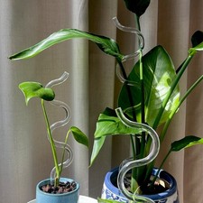 Wave Design Decorative Plant Stake Trellis Houseplant Support Pole | 2 Sizes