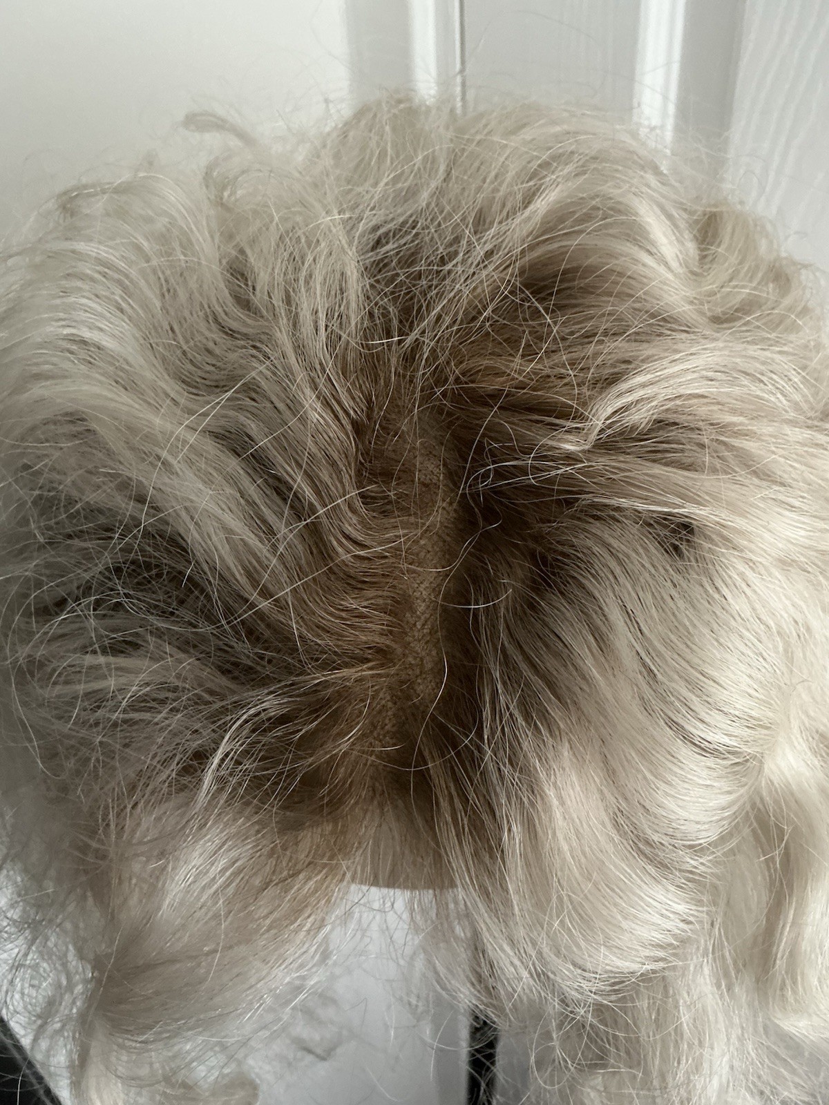 Bild 10 von 10