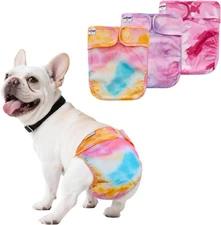 Unipup Female Dog 3 Pack Diapers Reusable No Tail Hole Period Panties Washable M