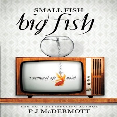 Small Fish Big Fish A Coming of Age Novel PJ McDermott Paperback