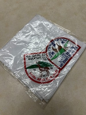 1973 OA Final Area III-B Meet Neckerchief & Patch Ah-Tic 139 Host