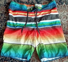 Hang Ten 10 Multicolored Colorful BOARD SHORTS Stripes Swim Suit Beach Surf 34