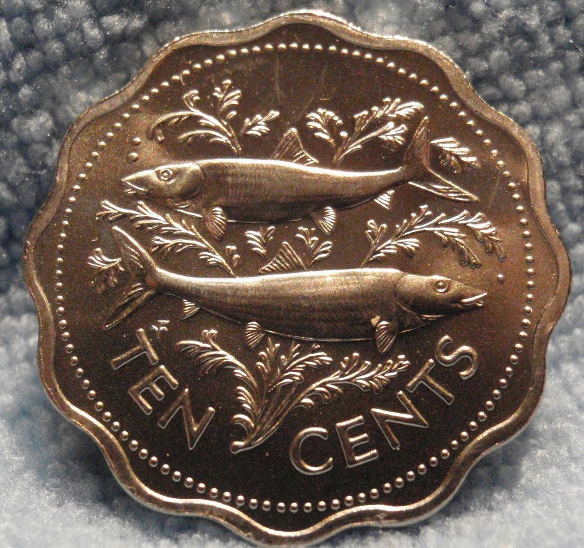 1974 Gem BU Satin Mint Set Coin BAHAMAS 10 CENTS Bone Fish 