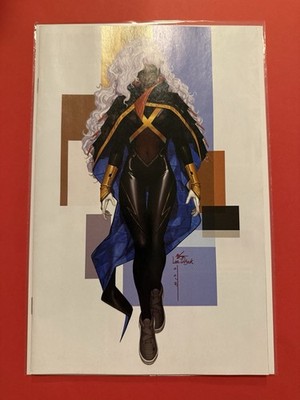 Rogue Storm #2 1:50 Inhyuk Lee Street verse Virgin Variant.