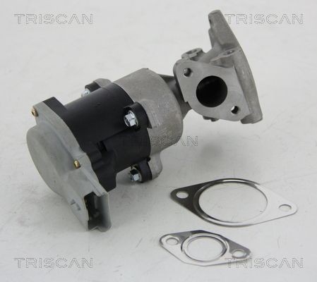 Triscan Agr-Ventil 8813 10008 FüR CitroËN Jaguar Land Rover Peugeot-image