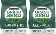 Fast Grow Grass Seed Mix for Sun And Shade Lawn Areas, 3 Pounds