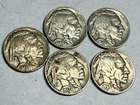 (Lot of 5) XF full horn Indian Head BUFFALO NICKELS. 1935, 2x 1936, 2x 1937. #q4